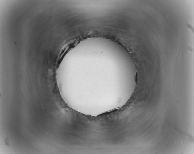 X0000097770144200803211745