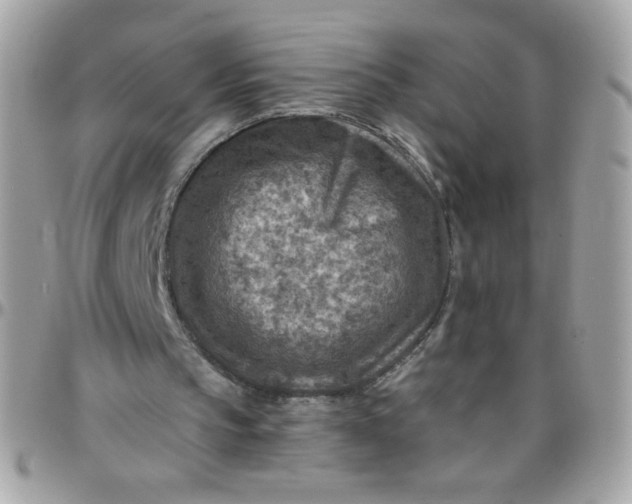 X0000097770145200803211744