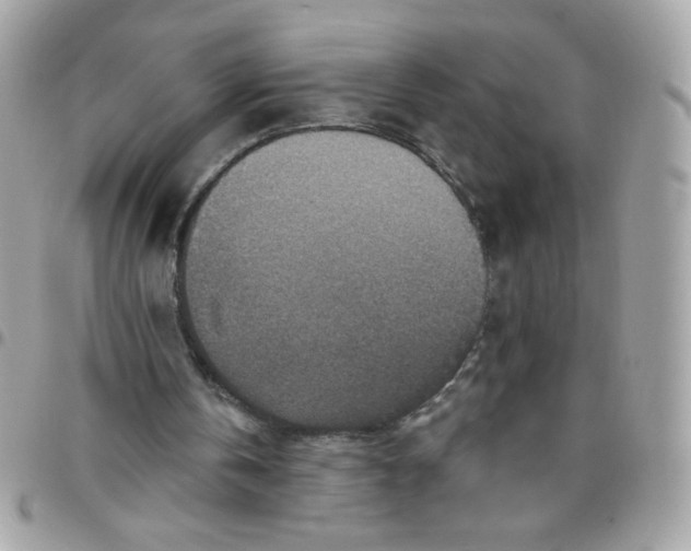 X0000097770146200803211744