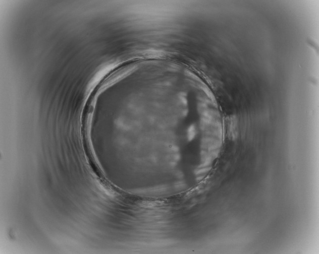 X0000097770147200803211744