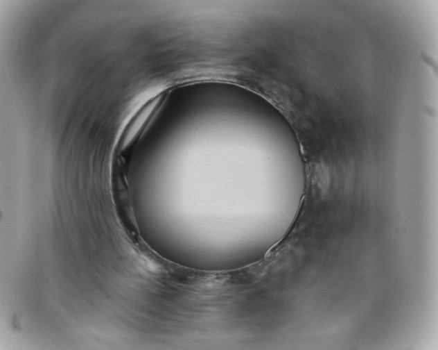 X0000097770148200803211744