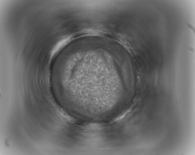 X0000097770149200803211744