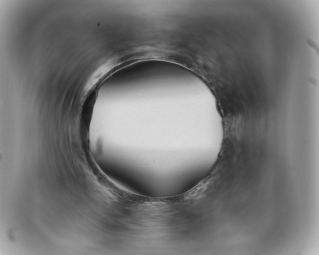 X0000097770150200803211744