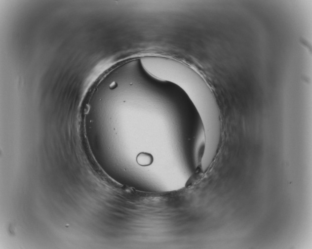 X0000097770152200803211744