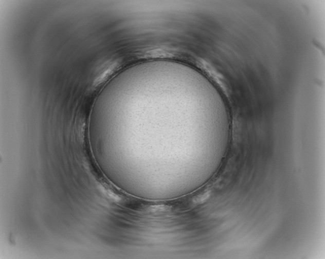 X0000097770153200803211744