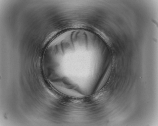 X0000097770155200803211744