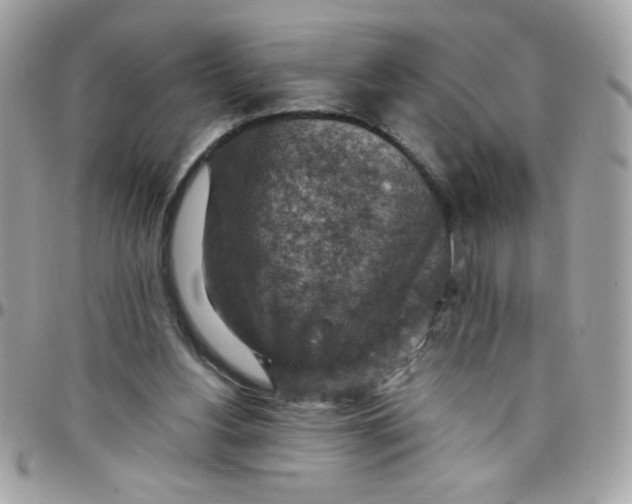 X0000097770156200803211744