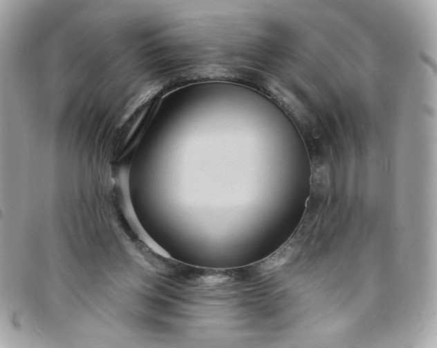 X0000097770158200803211744