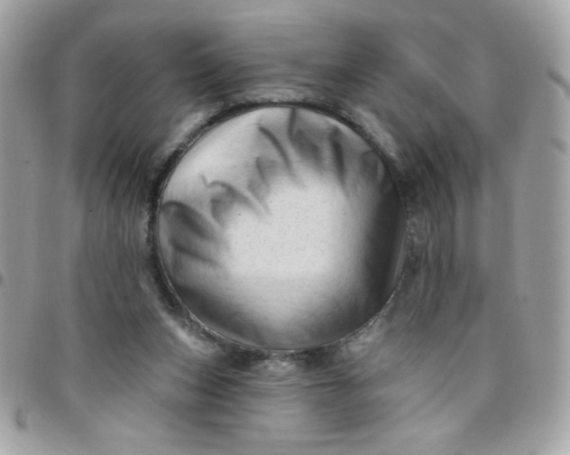 X0000097770159200803211744