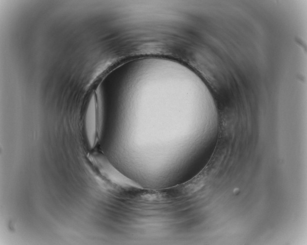 X0000097770160200803211744