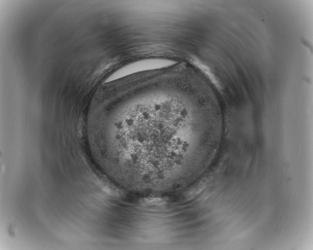 X0000097770161200803211744