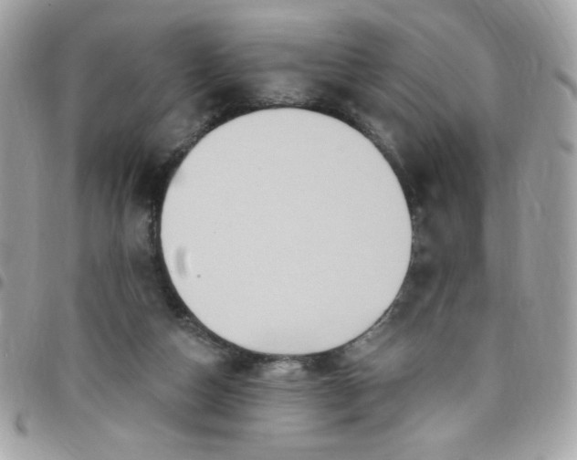 X0000097770162200803211744