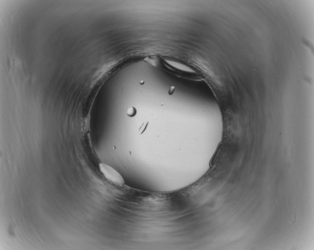 X0000097770164200803211744