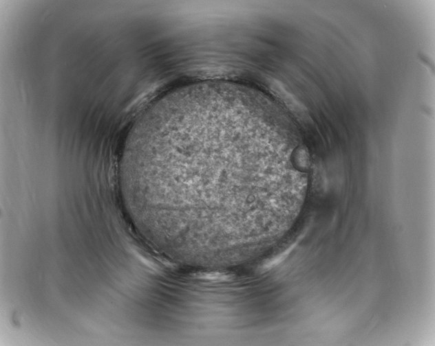 X0000097770165200803211744