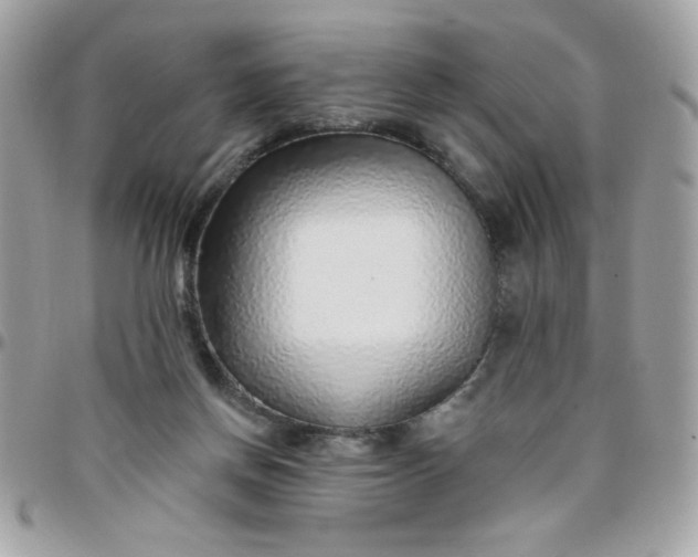 X0000097770166200803211744