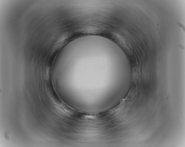 X0000097770167200803211744