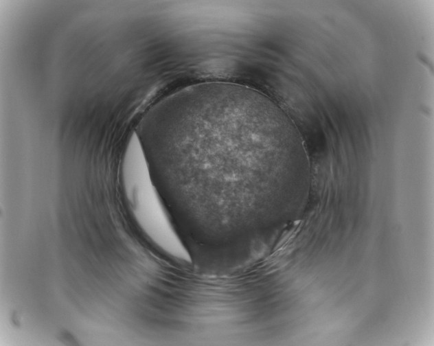 X0000097770168200803211744