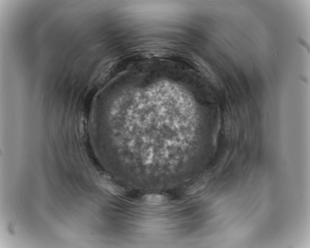 X0000097770169200803211744