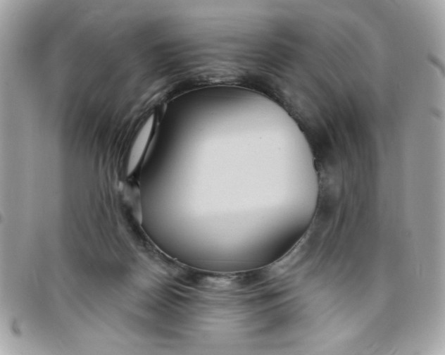 X0000097770170200803211744