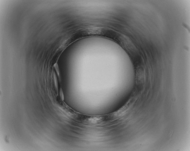 X0000097770172200803211744