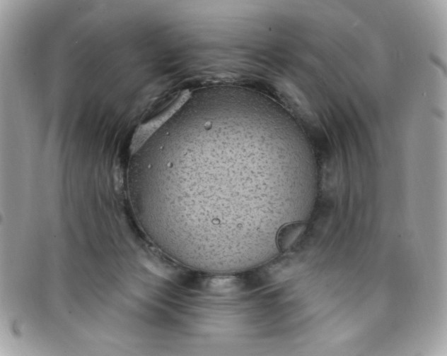 X0000097770173200803211744