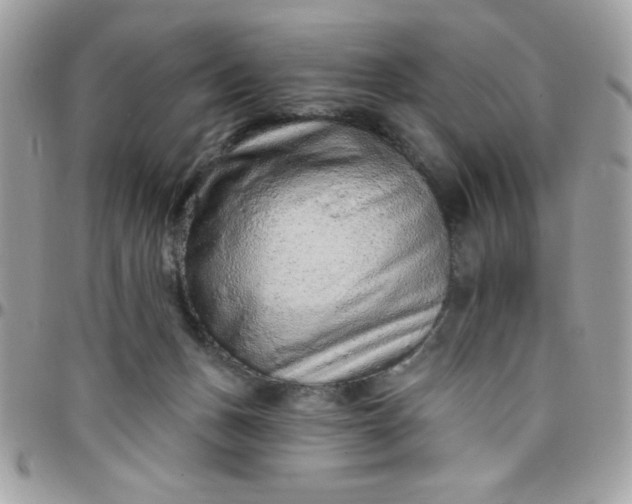 X0000097770175200803211744