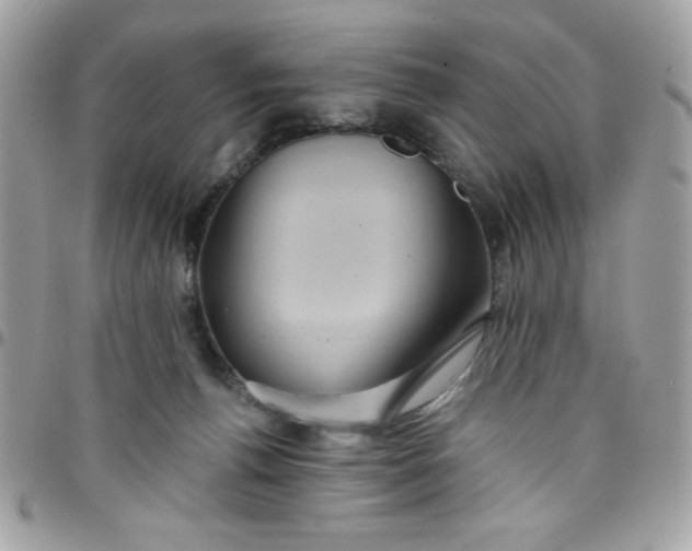 X0000097770176200803211744