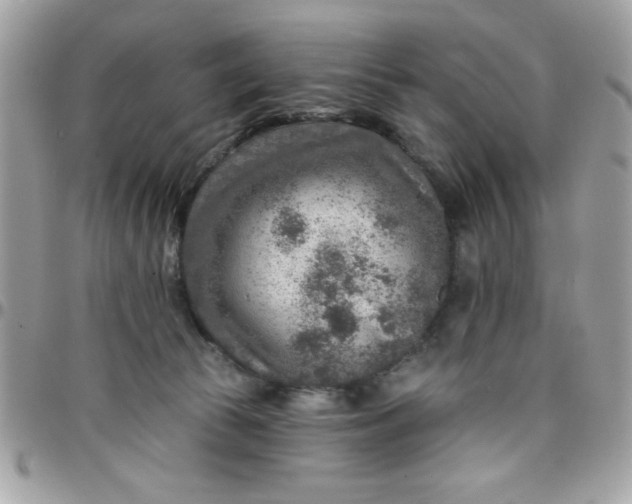 X0000097770177200803211744