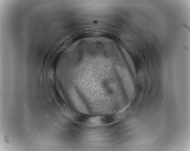 X0000097770178200803211744