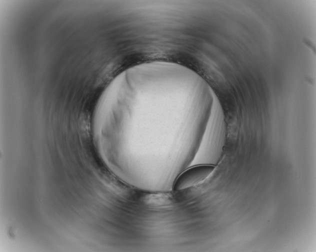 X0000097770179200803211744