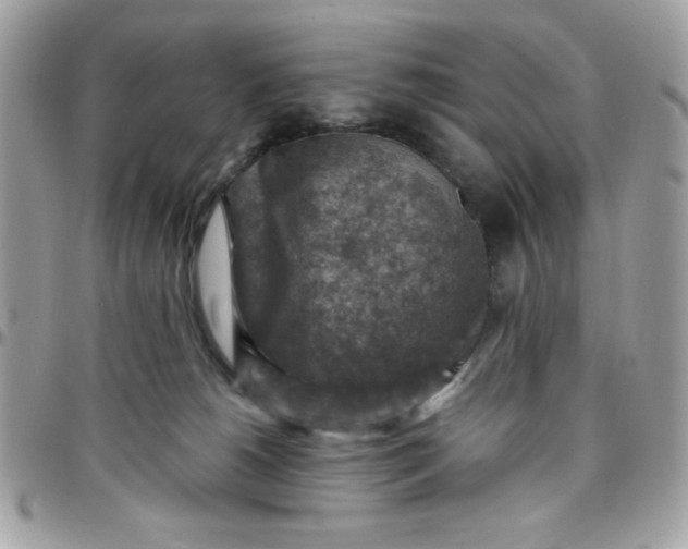 X0000097770180200803211744