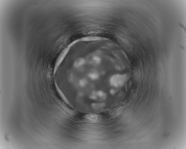 X0000097770181200803211744