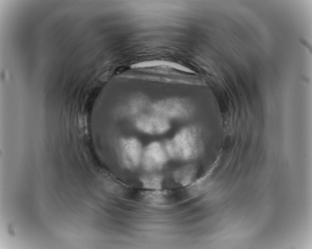 X0000097770182200803211744