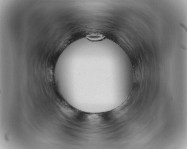 X0000097770183200803211744