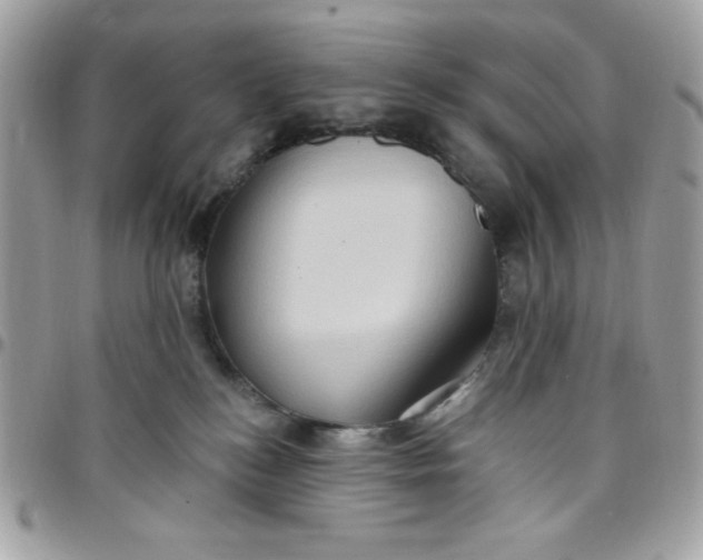 X0000097770184200803211744