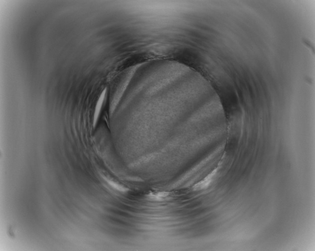 X0000097770186200803211744