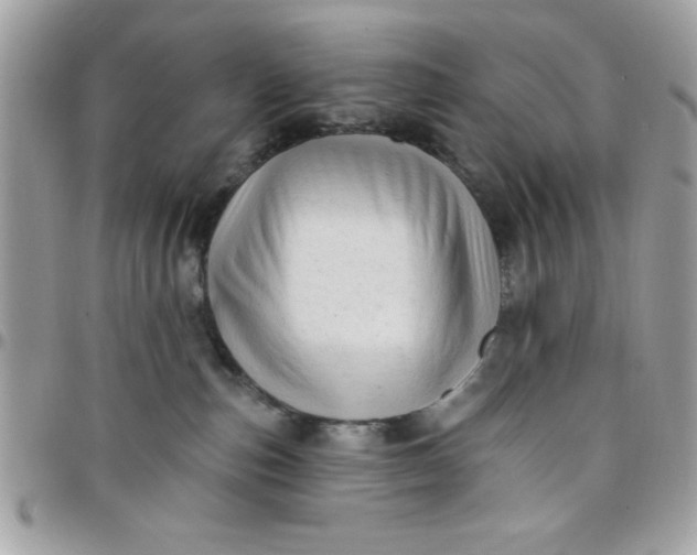 X0000097770187200803211744