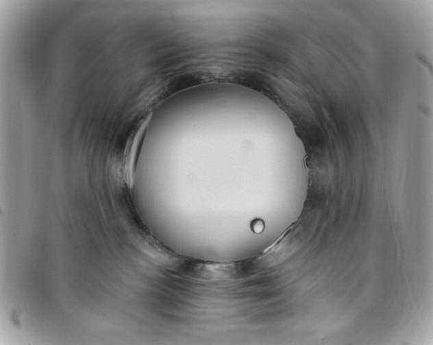 X0000097770188200803211744