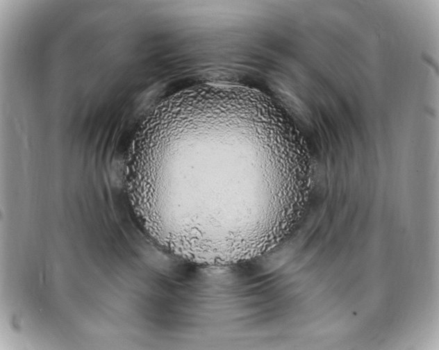 X0000097770189200803211744