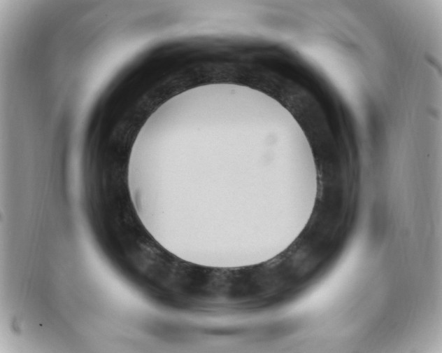 X0000097770190200803211744