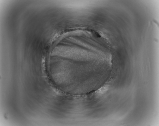 X0000097770192200803211745