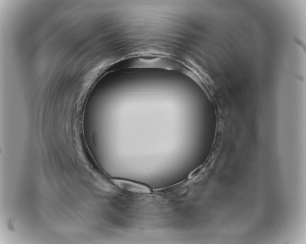 X0000097770193200803211744