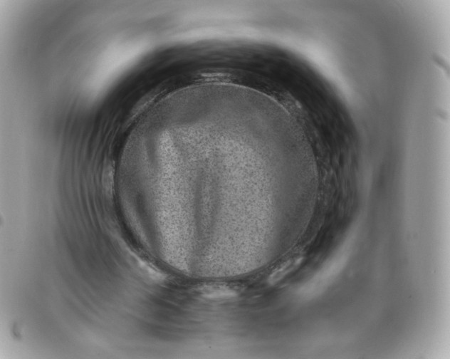 X0000097770194200803211744