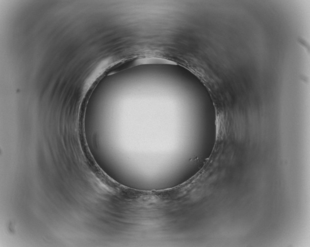 X0000097770195200803211744