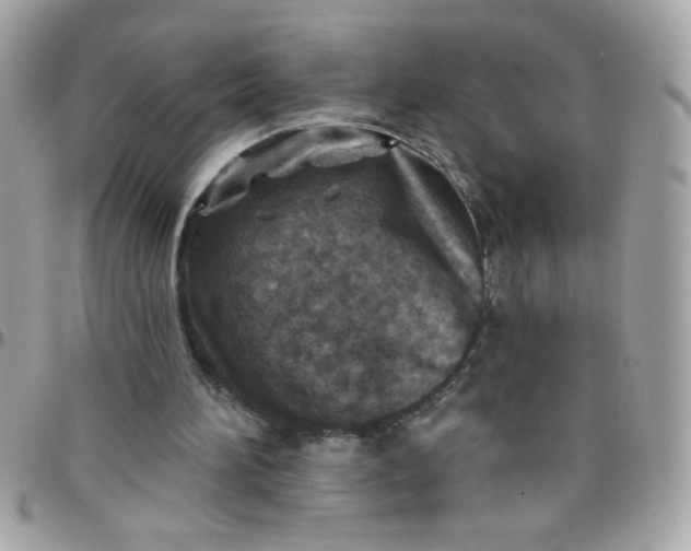 X0000097770196200803211744