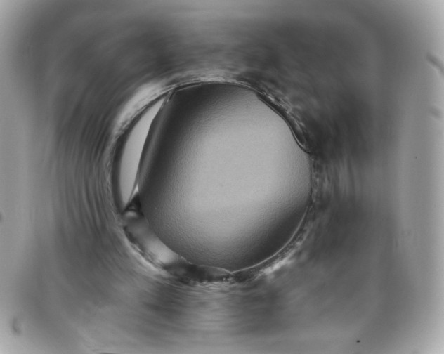 X0000097770197200803211744