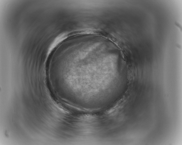 X0000097770198200803211744