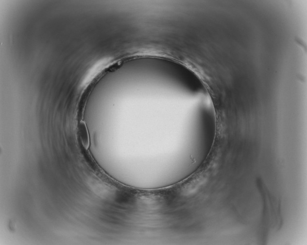 X0000097770199200803211744