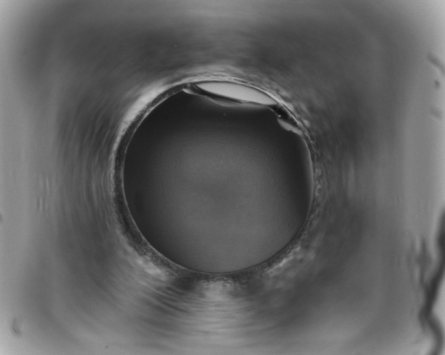 X0000097770200200803211744