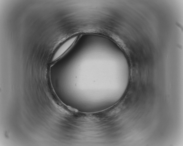 X0000097770201200803211744